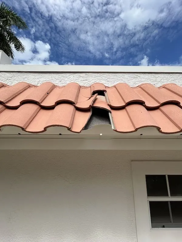 Roof Inspection in Port Charlotte, FL